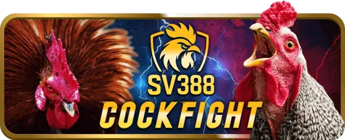 Hoàn trả BJ888